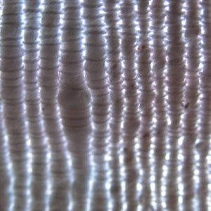 Fabric Weave Closeup II